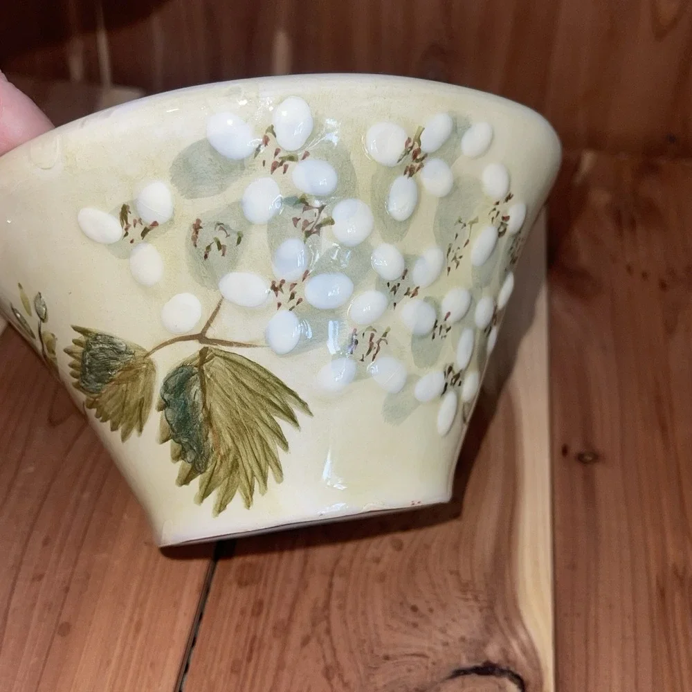 Victoria Gardens By Christina Ladas Ambiance Collection Floral Soup Cereal Bowls